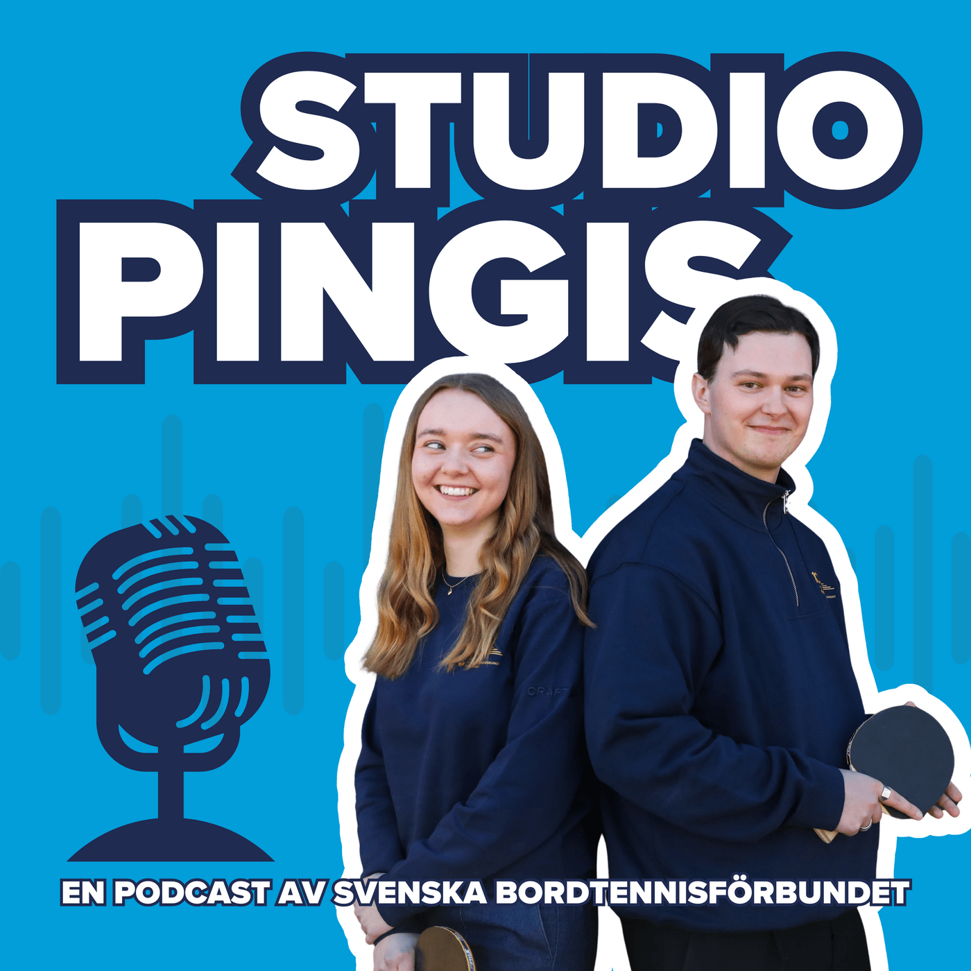 Studio Pingis