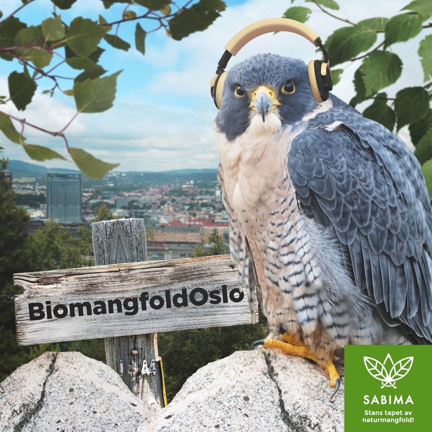 Biomangfold Oslo
