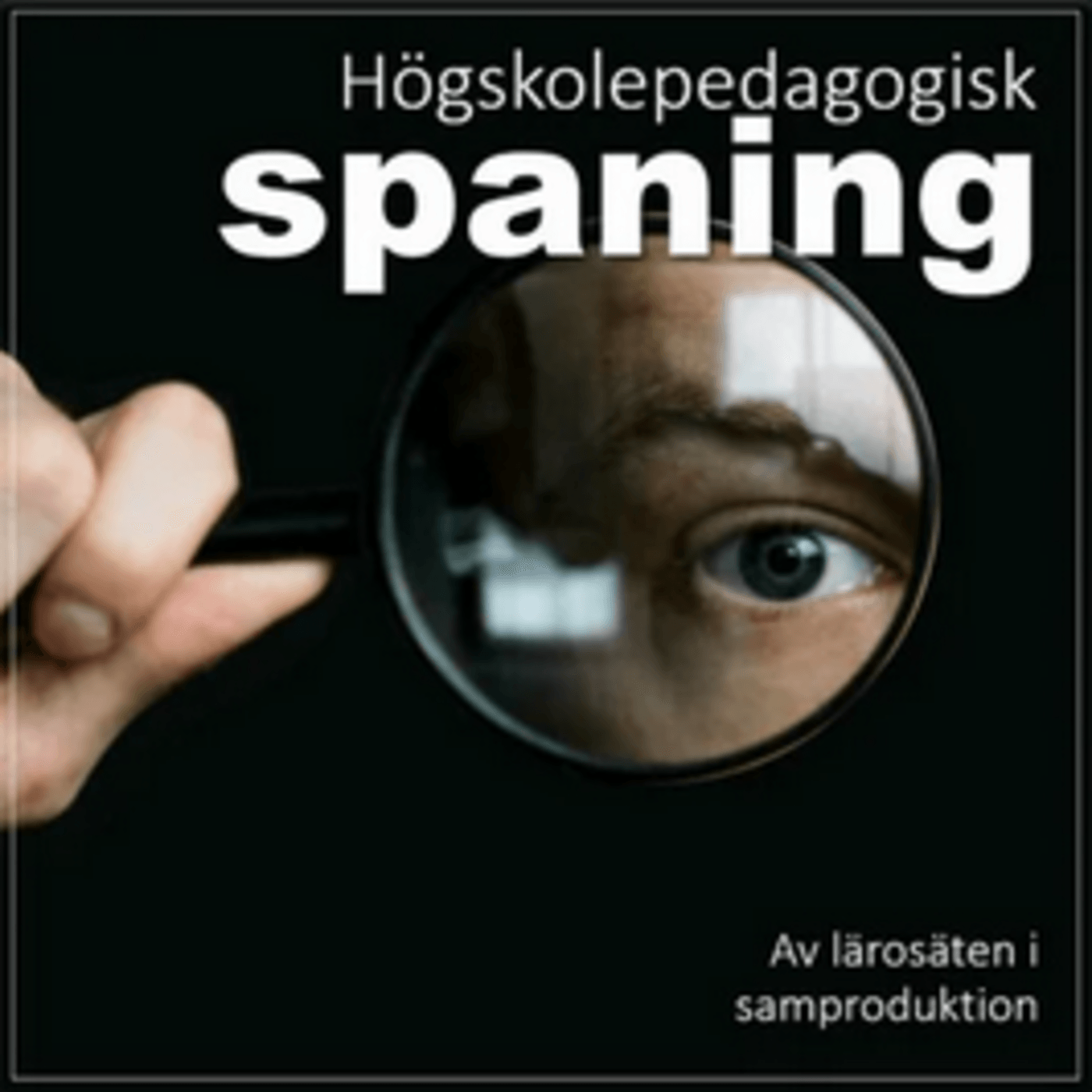 Högskolepedagogisk spaning