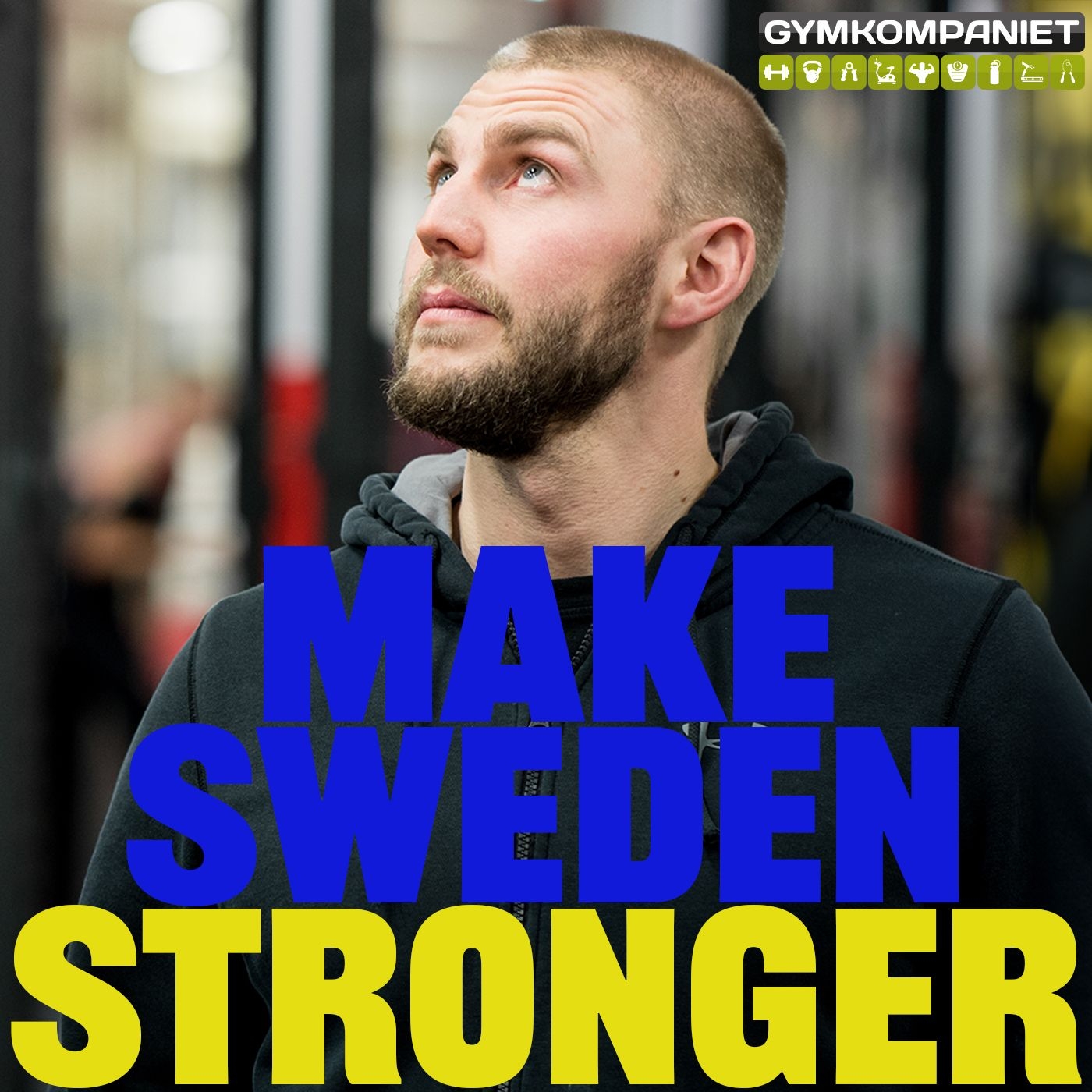 Make Sweden Stronger