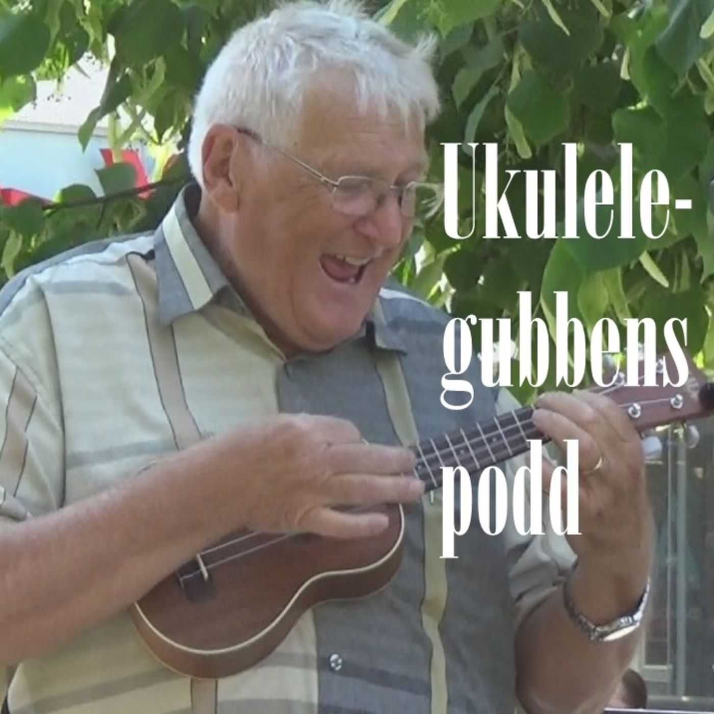 Ukulelegubbens podd