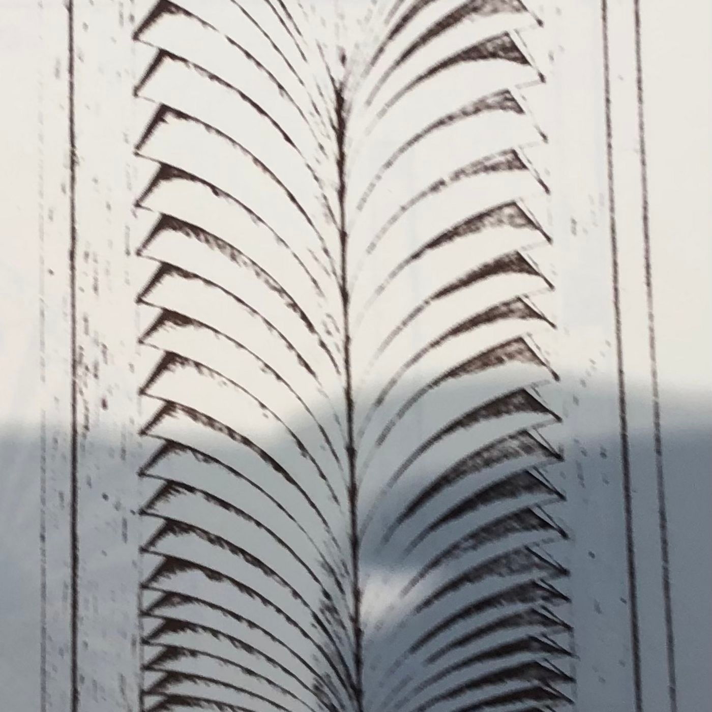 Sleazy Joe’s Rock-A-Roll Experience 