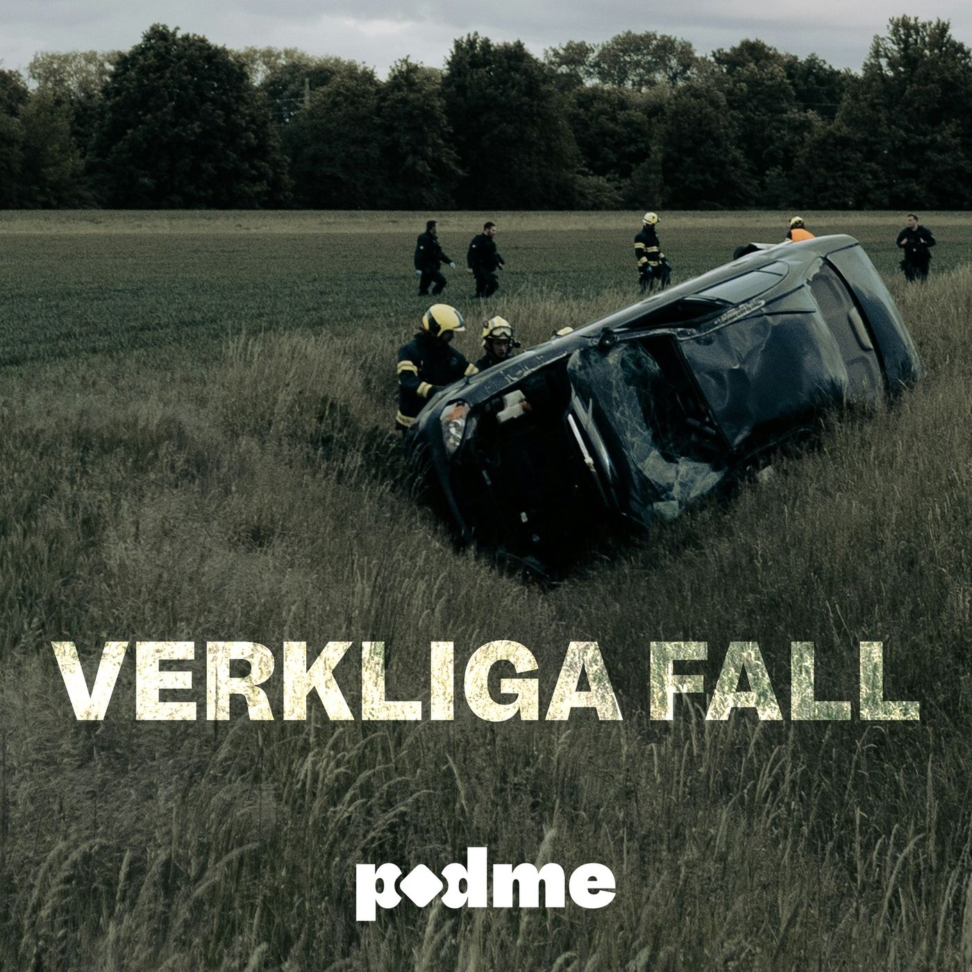 Podme Verkliga Fall