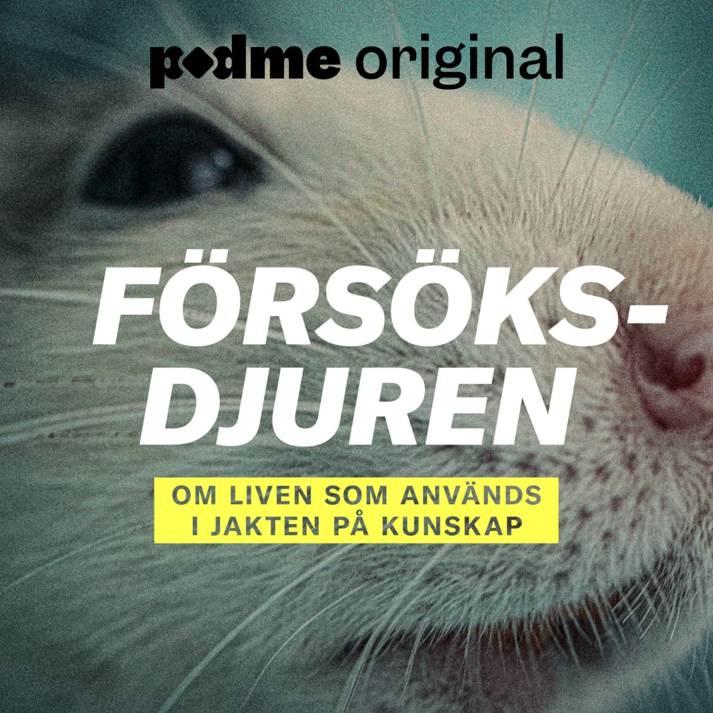 Försöksdjuren