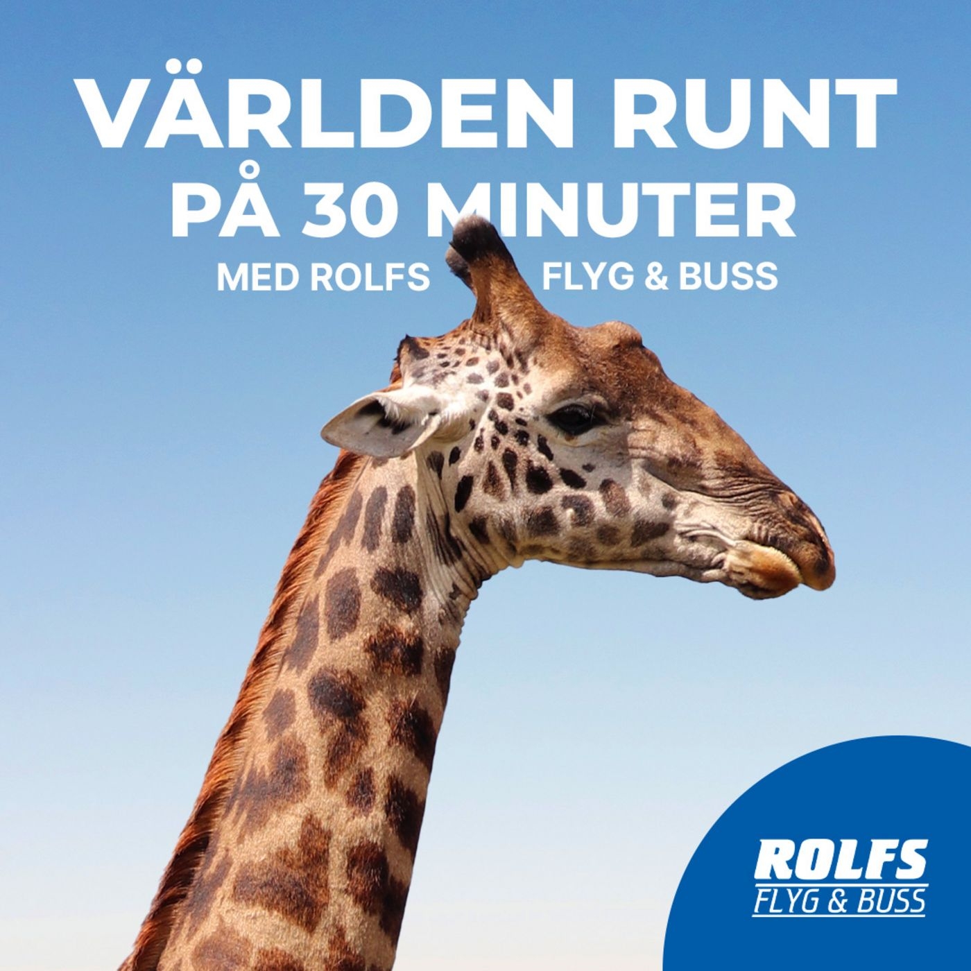 Världen runt på 30 minuter med Rolfs Flyg & Buss