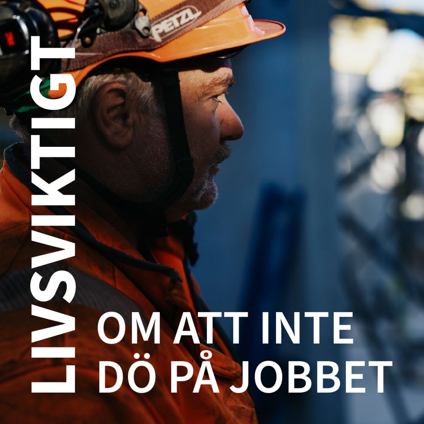 Livsviktigt - om att inte dö på jobbet