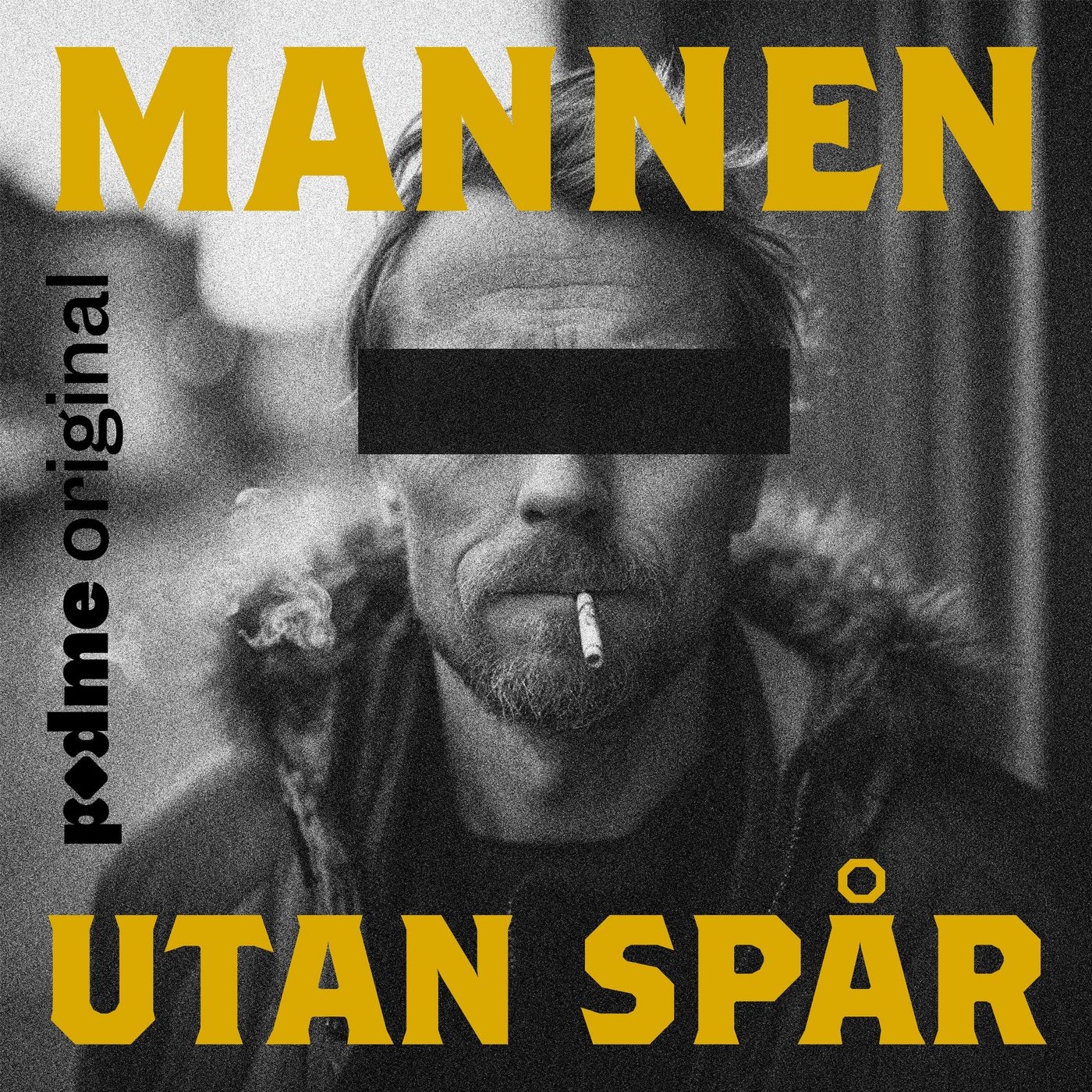 Mannen utan spår