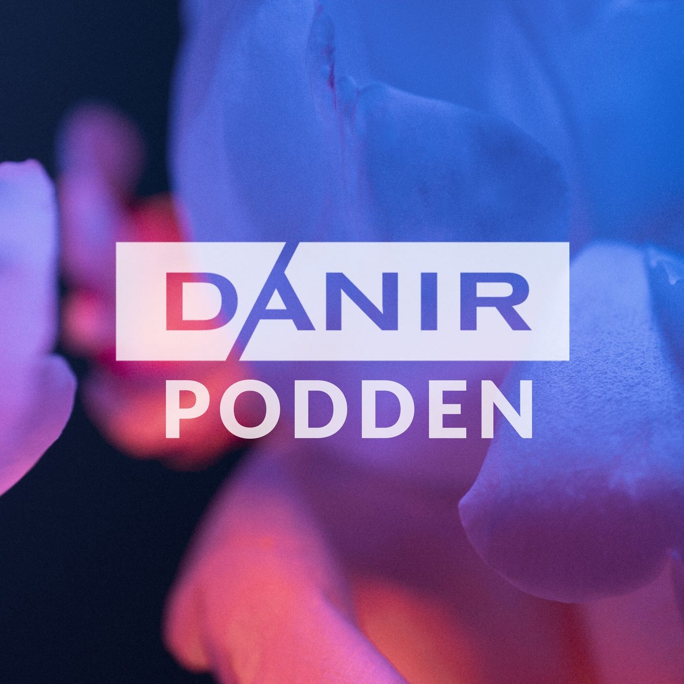 Danirpodden