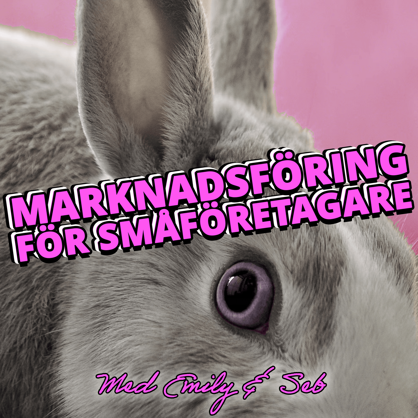 Marknadsföring för småföretagare