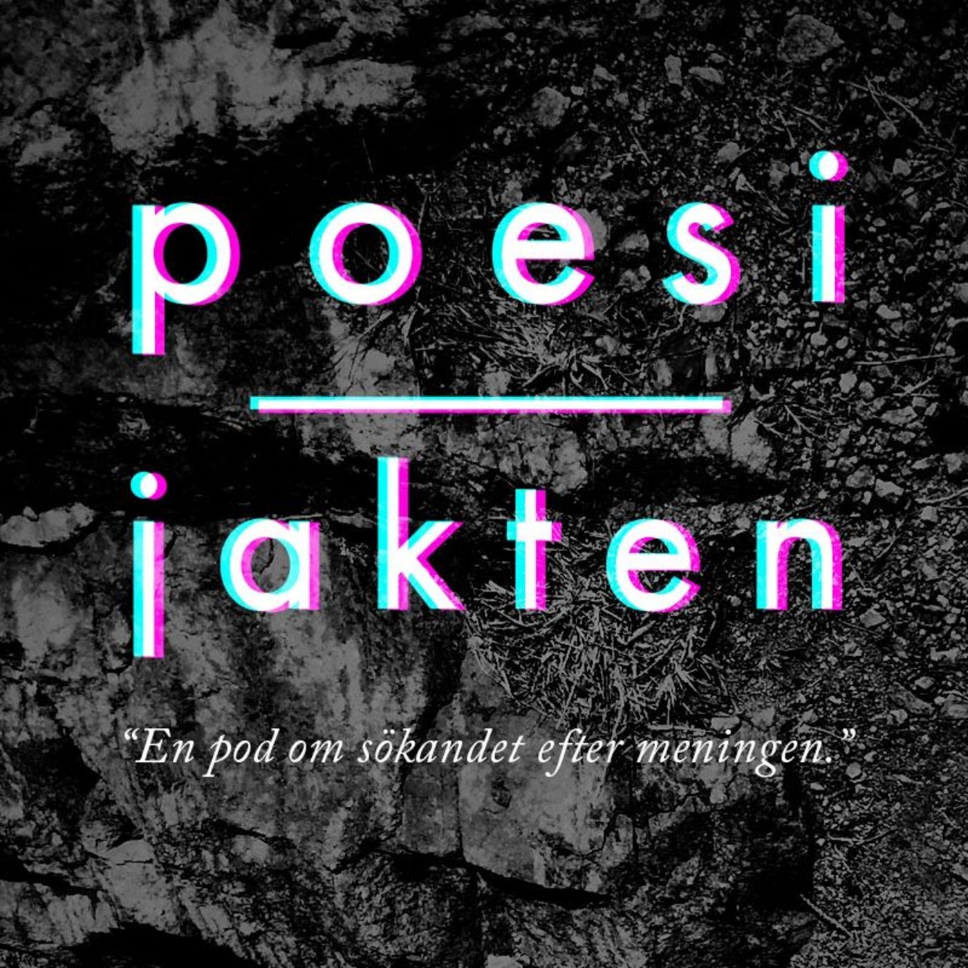 Poesijakten 