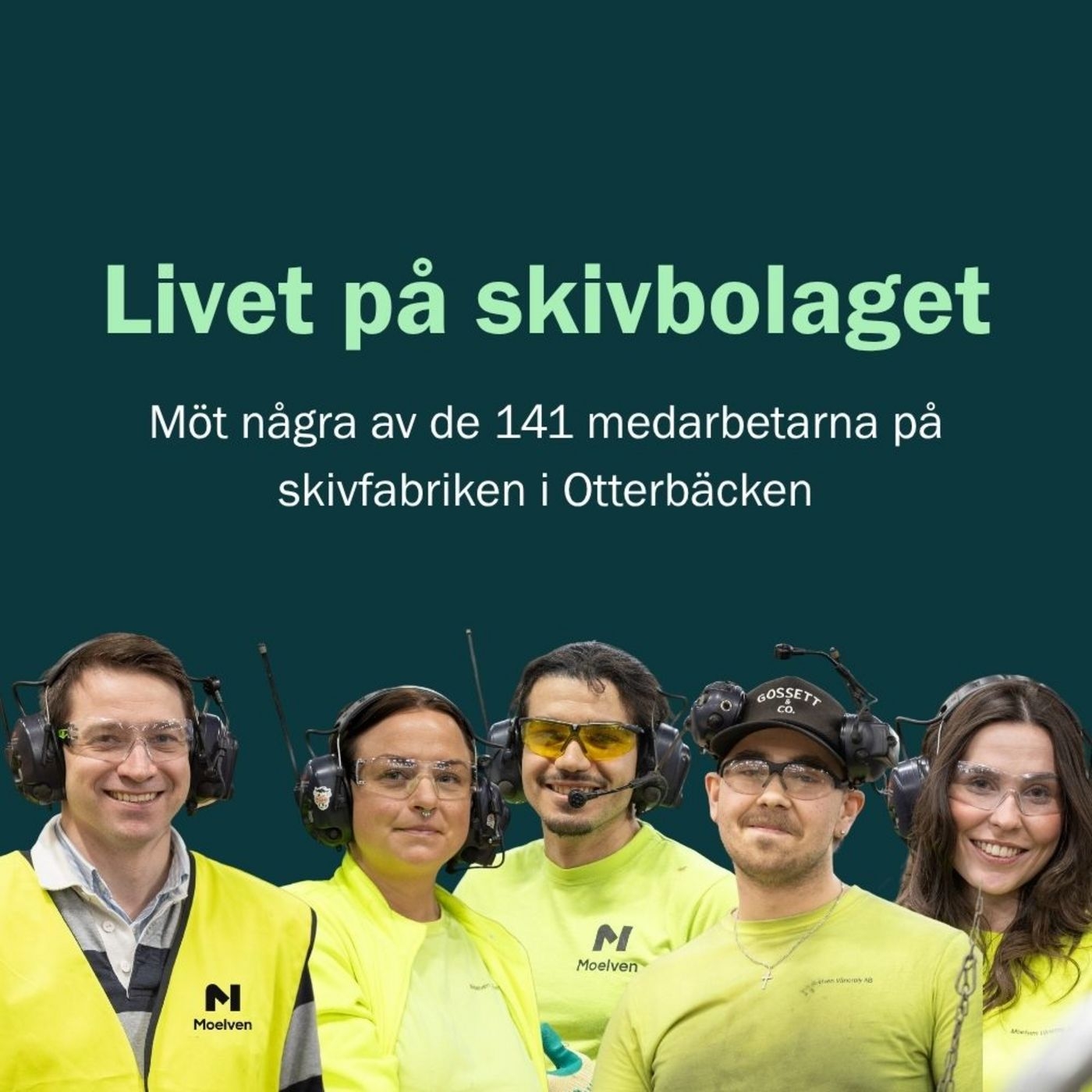 Livet på skivbolaget - Moelven Vänerply