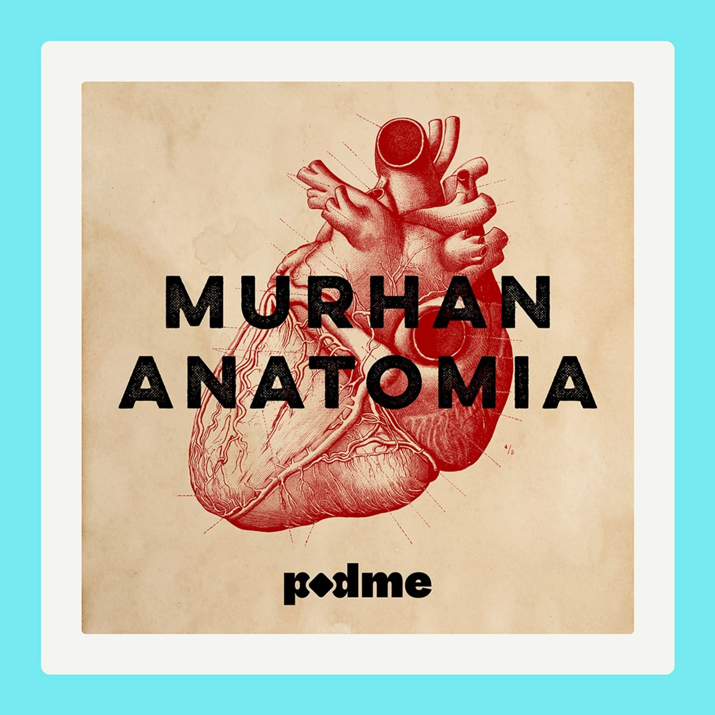 Murhan anatomia