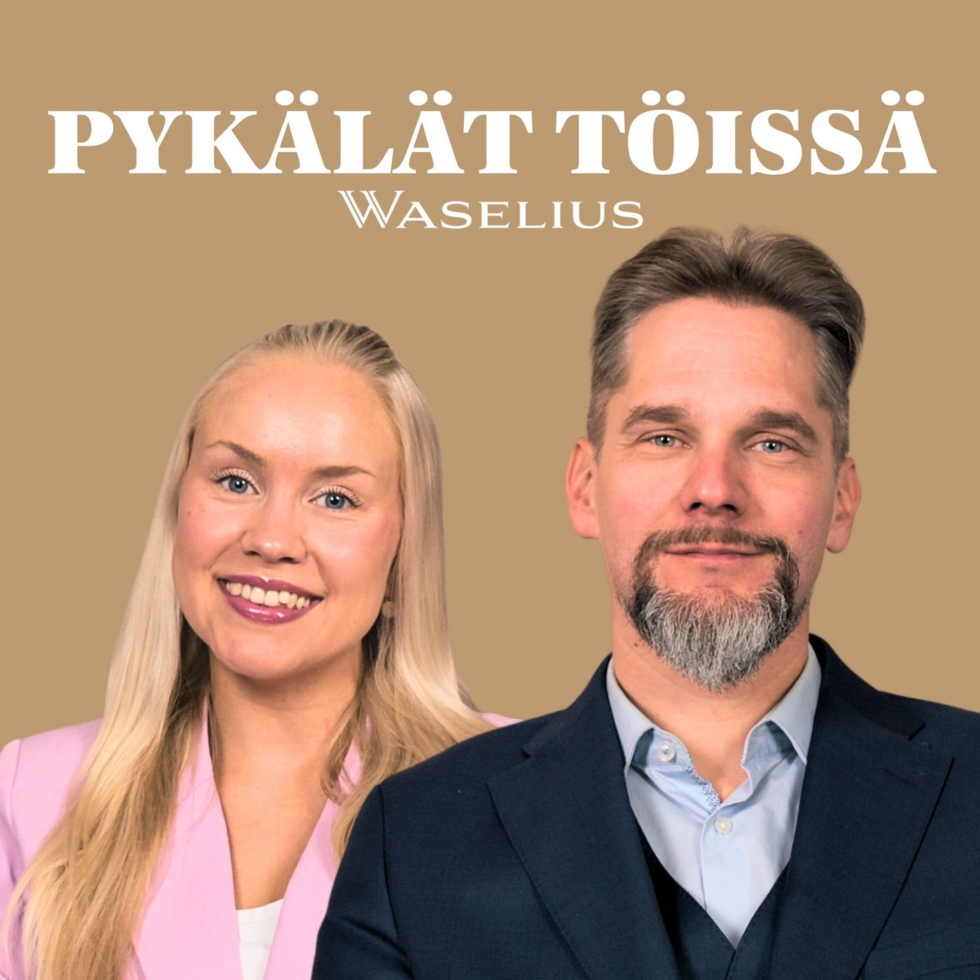 Pykälät töissä