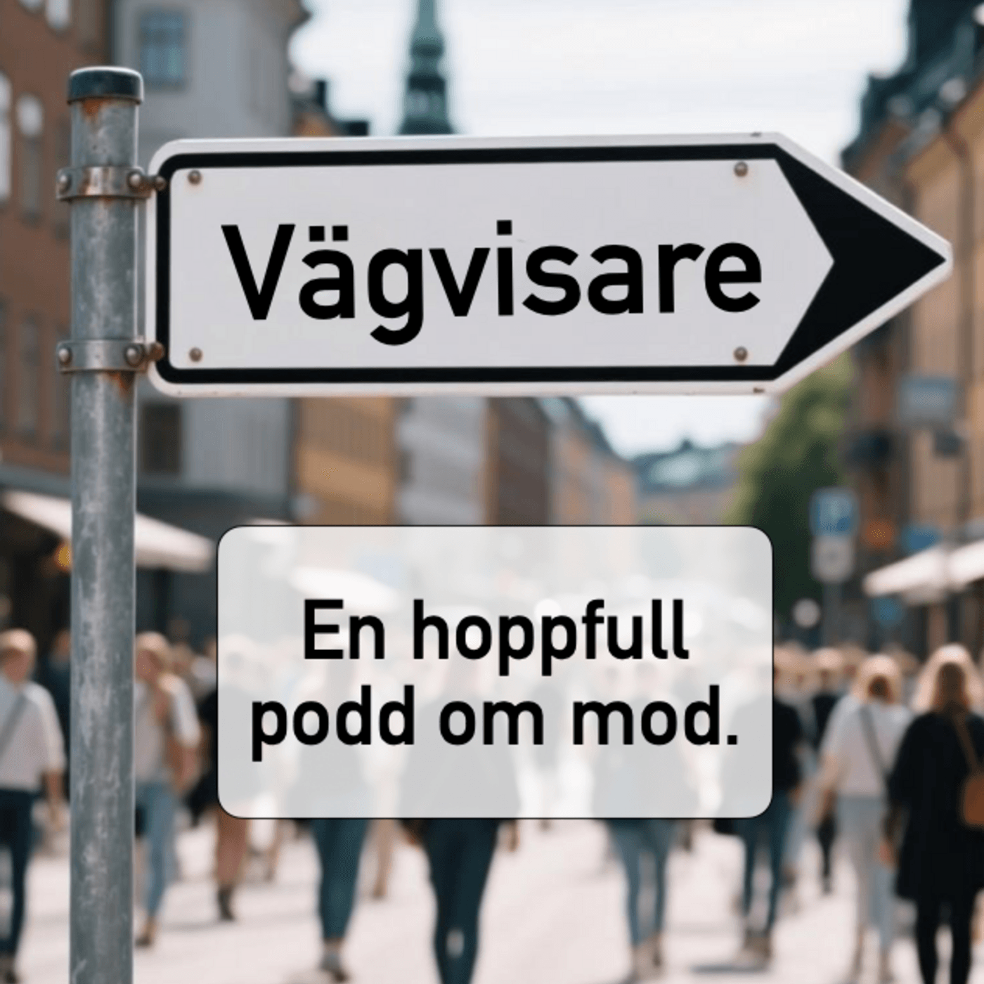 Vägvisare
