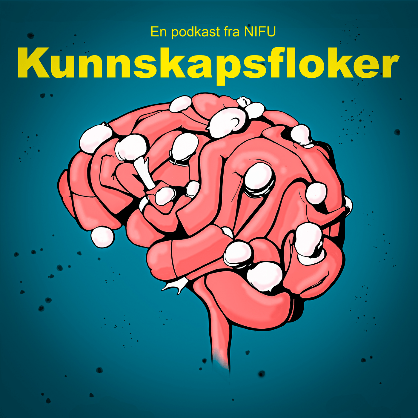 Kunnskapsfloker