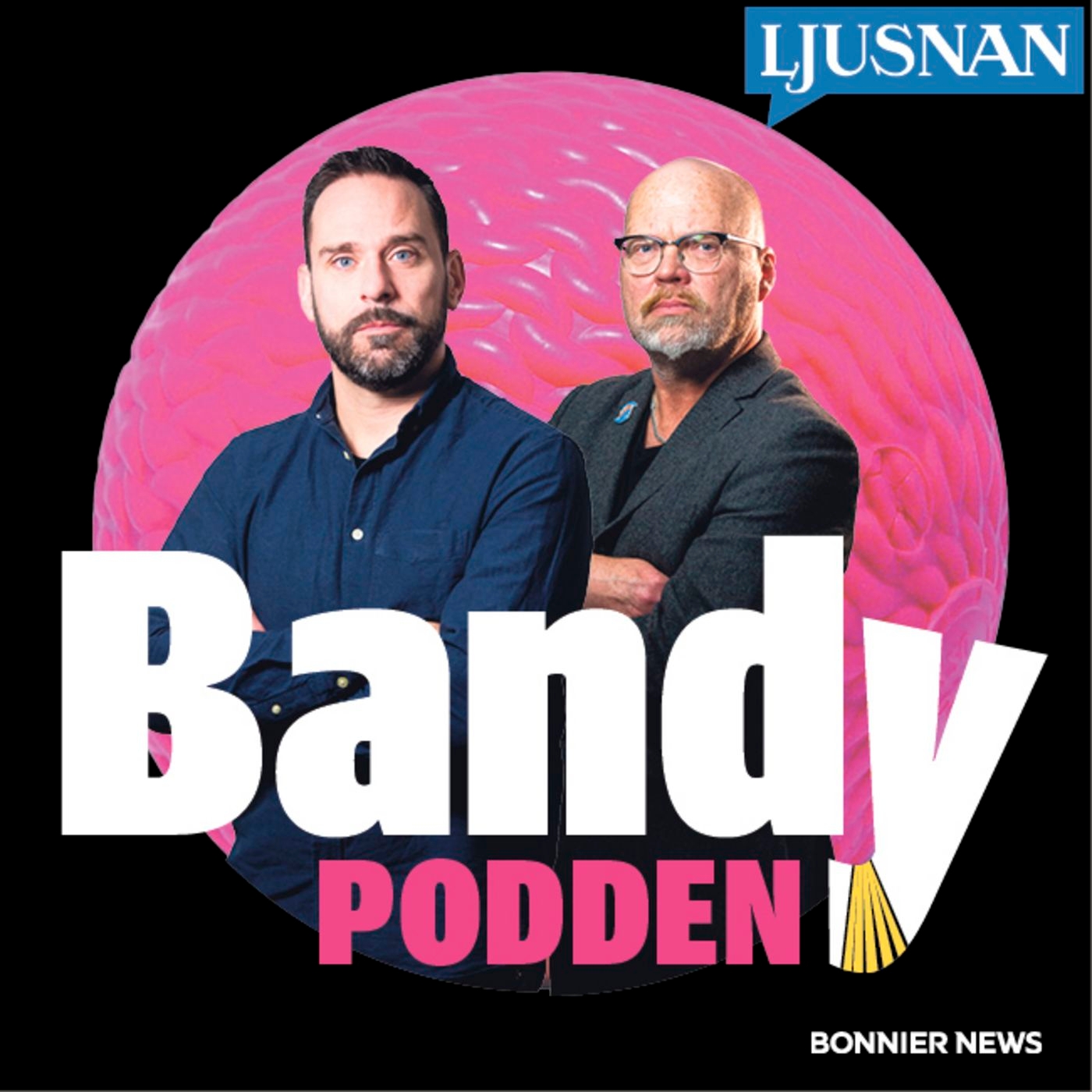 Bandypodden från Ljusnan 