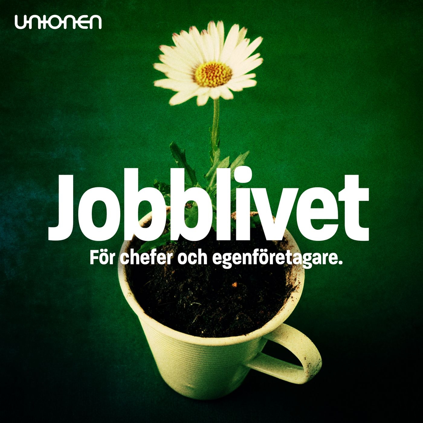 Jobblivet för chefer och företagare