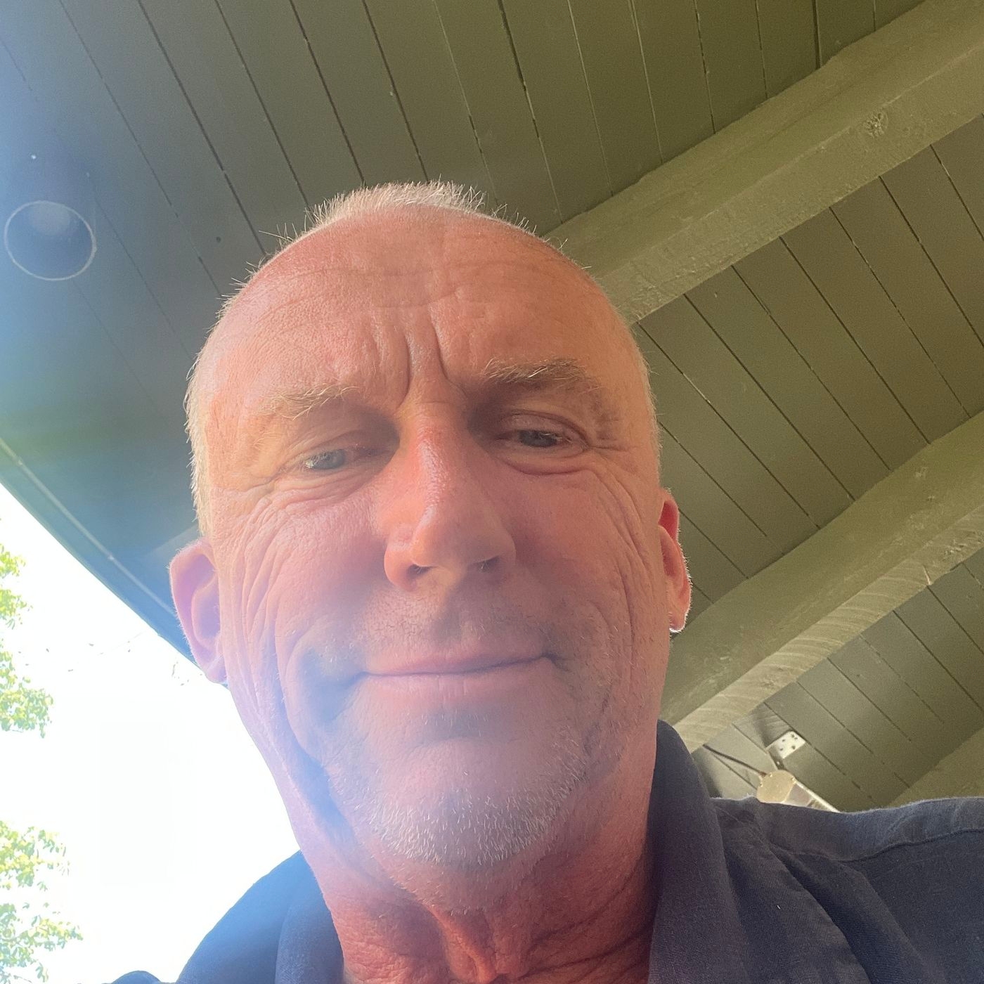 The real real estate agent